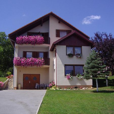 Guesthouse Hodak Seliste Dreznicko Ngoại thất bức ảnh